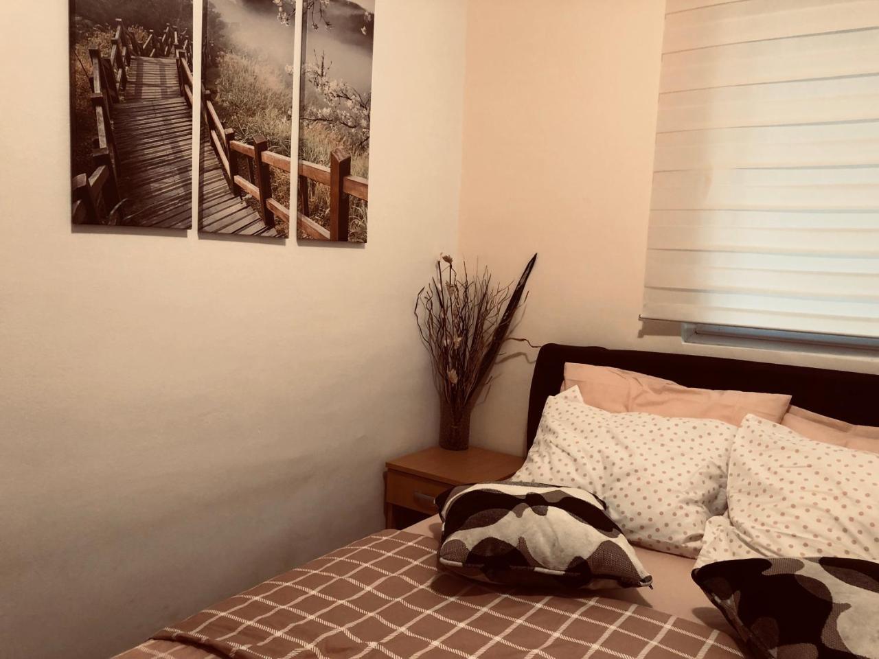 Apartments Aleksandar Petrovac Extérieur photo